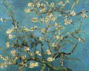 文森特 威廉 梵高 : 杏树枝上盛开的花朵